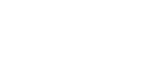 Dr. Nalini Nagalla logo